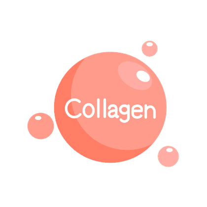 Collagen type VII