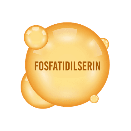 Phosphatidylserine