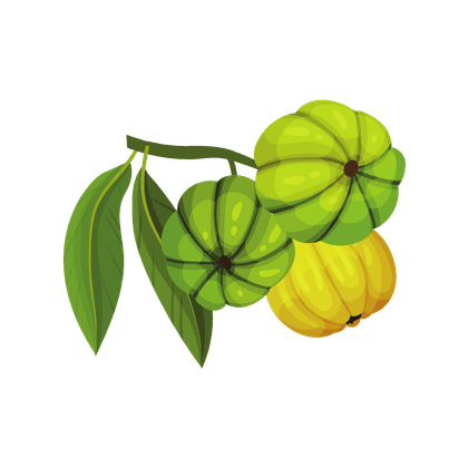Garcinia cambogia