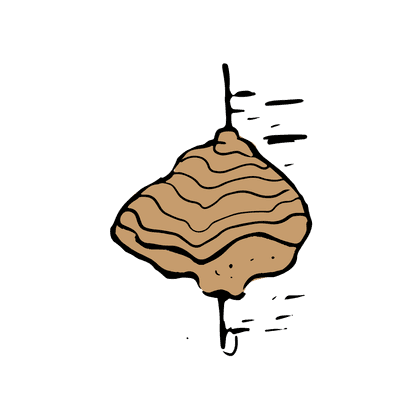 Chaga