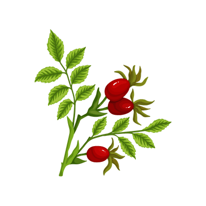 Chipberry