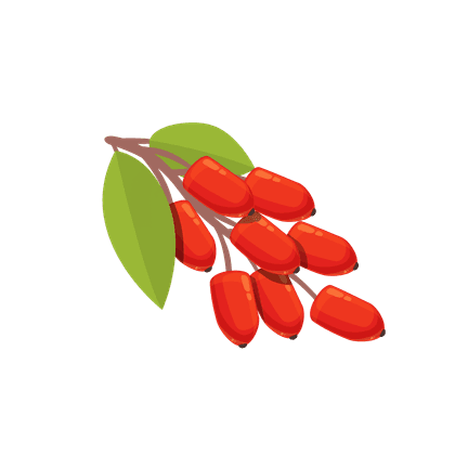 Goji berries