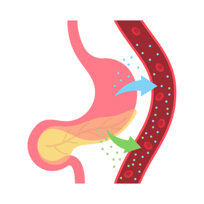 insulin resistance